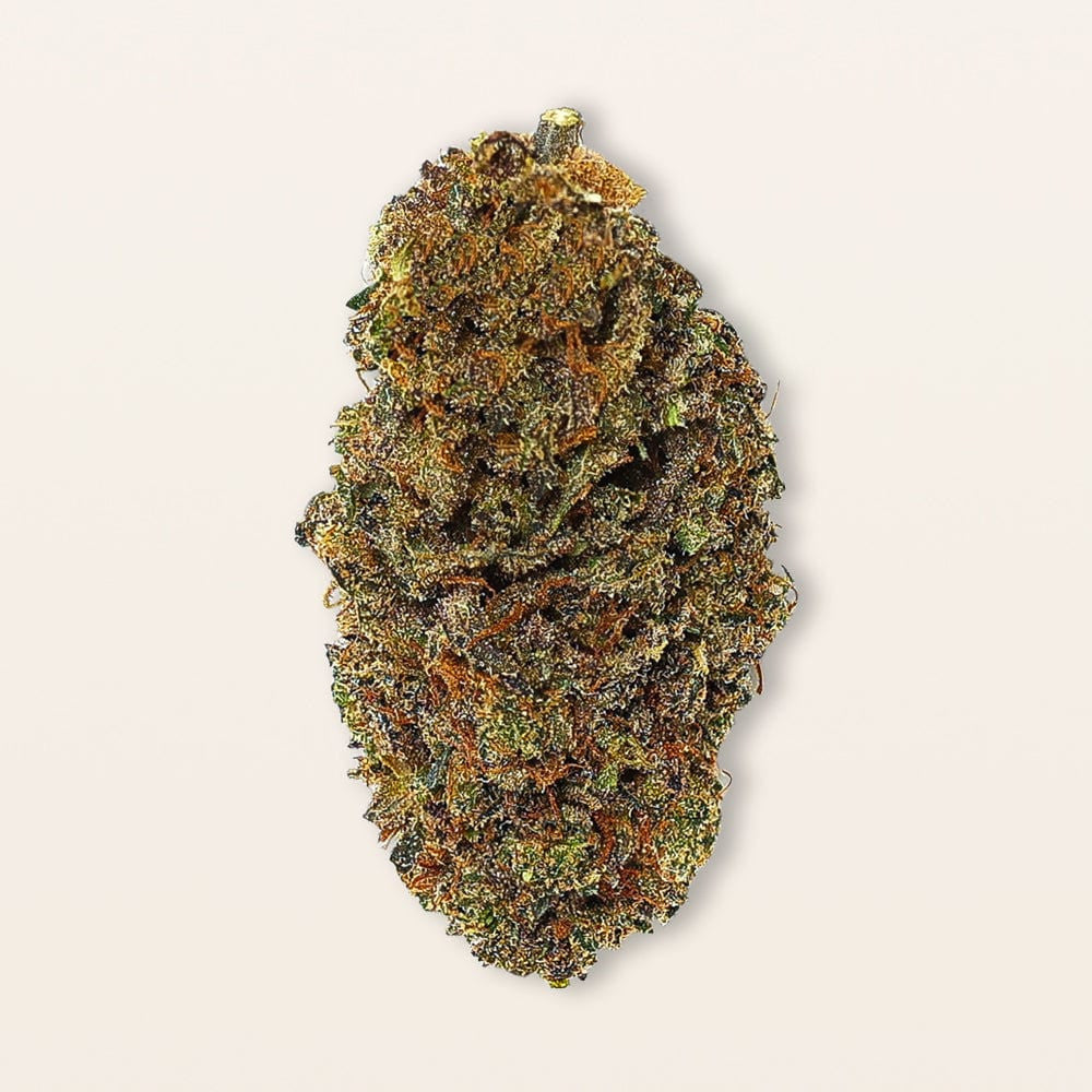 Cherry Chocolate Chip Hemp Flower - Indoor CBD Flower | Snooze