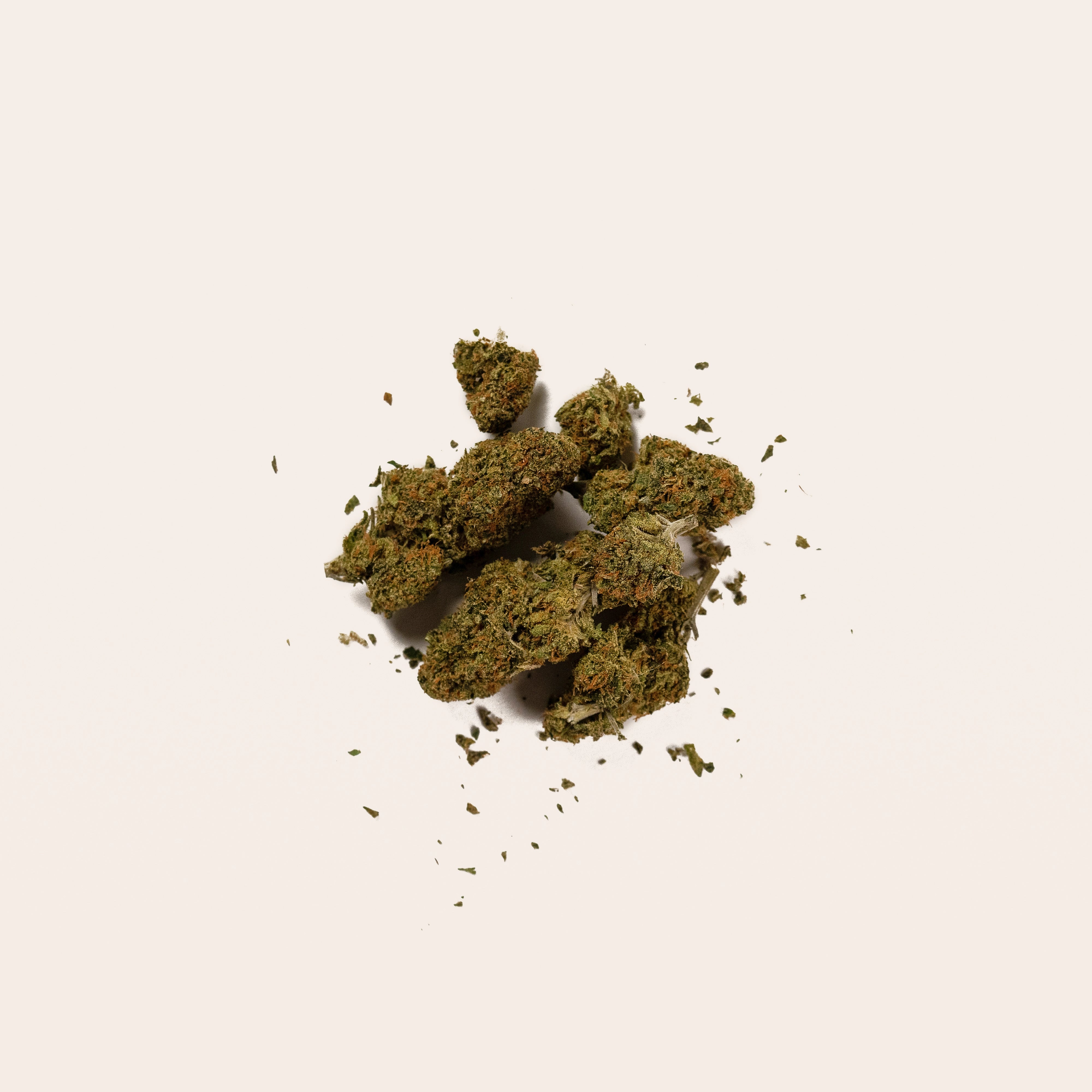 Cat's Meow Hemp Flower - Indoor CBD Flower | Calm